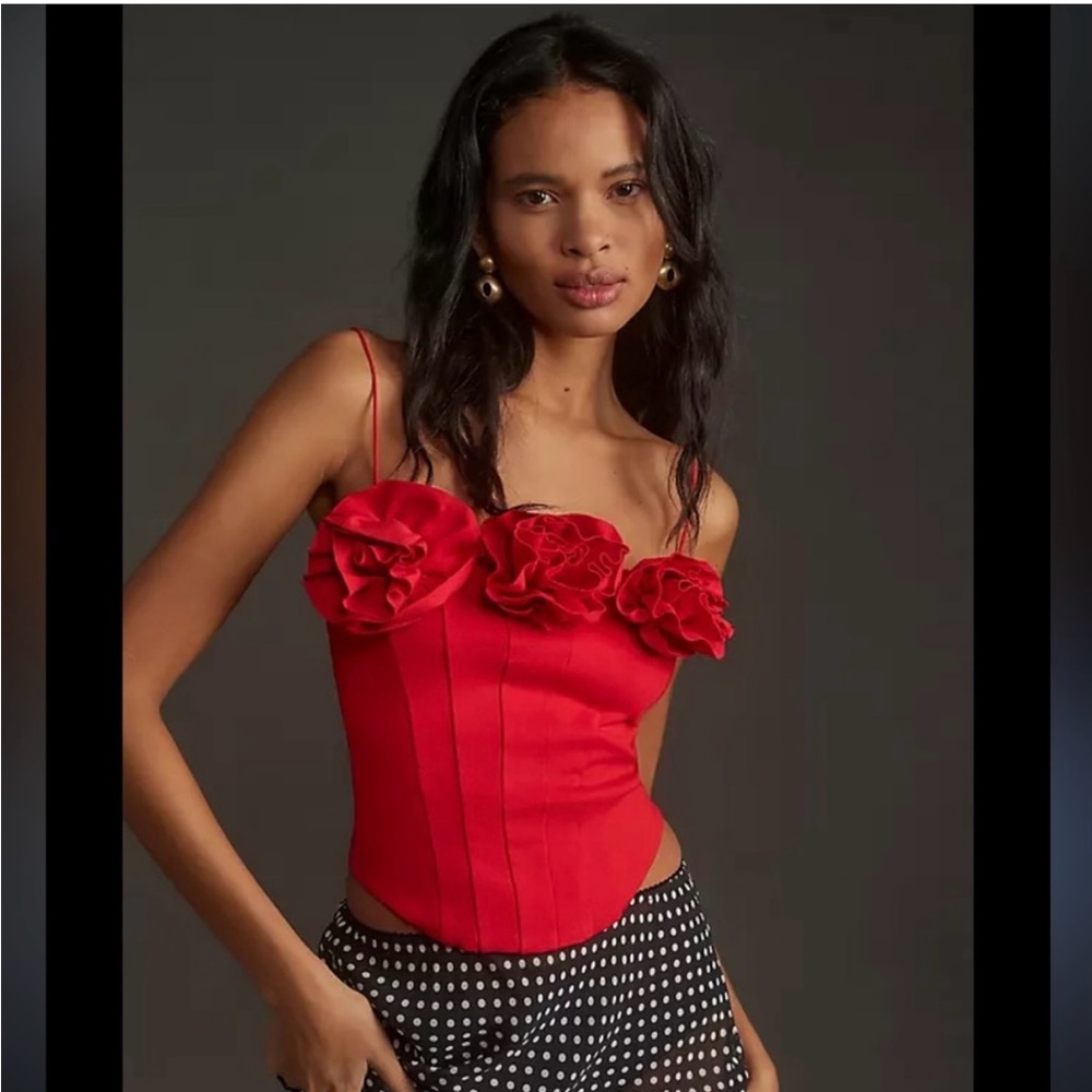 Sunday in Brooklyn by Anthropologie Red Floral Corset Top